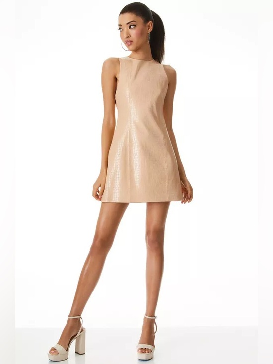 Alice + Olivia Dresses & Skirts - alice + olivia
Daven Vegan Leather Sleeveless Mini Dress